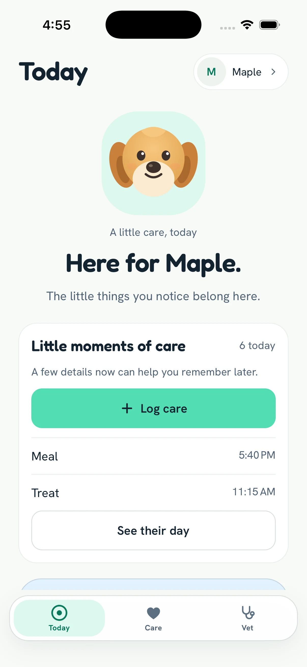 Carefully Today with a place to prepare for a visit, shown with example pet data